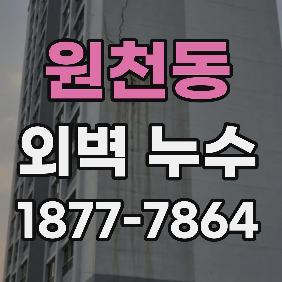 원천동 외벽 누수 해결 사례에서 배울 점