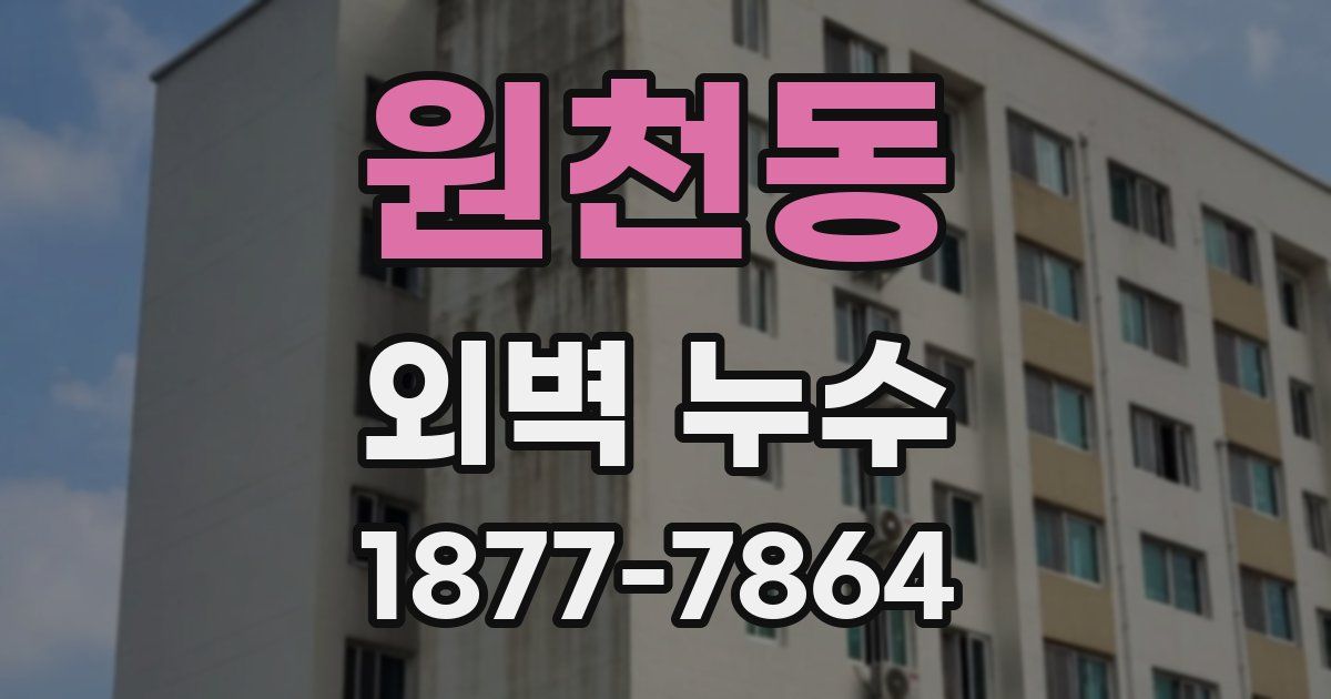 원천동 외벽 누수