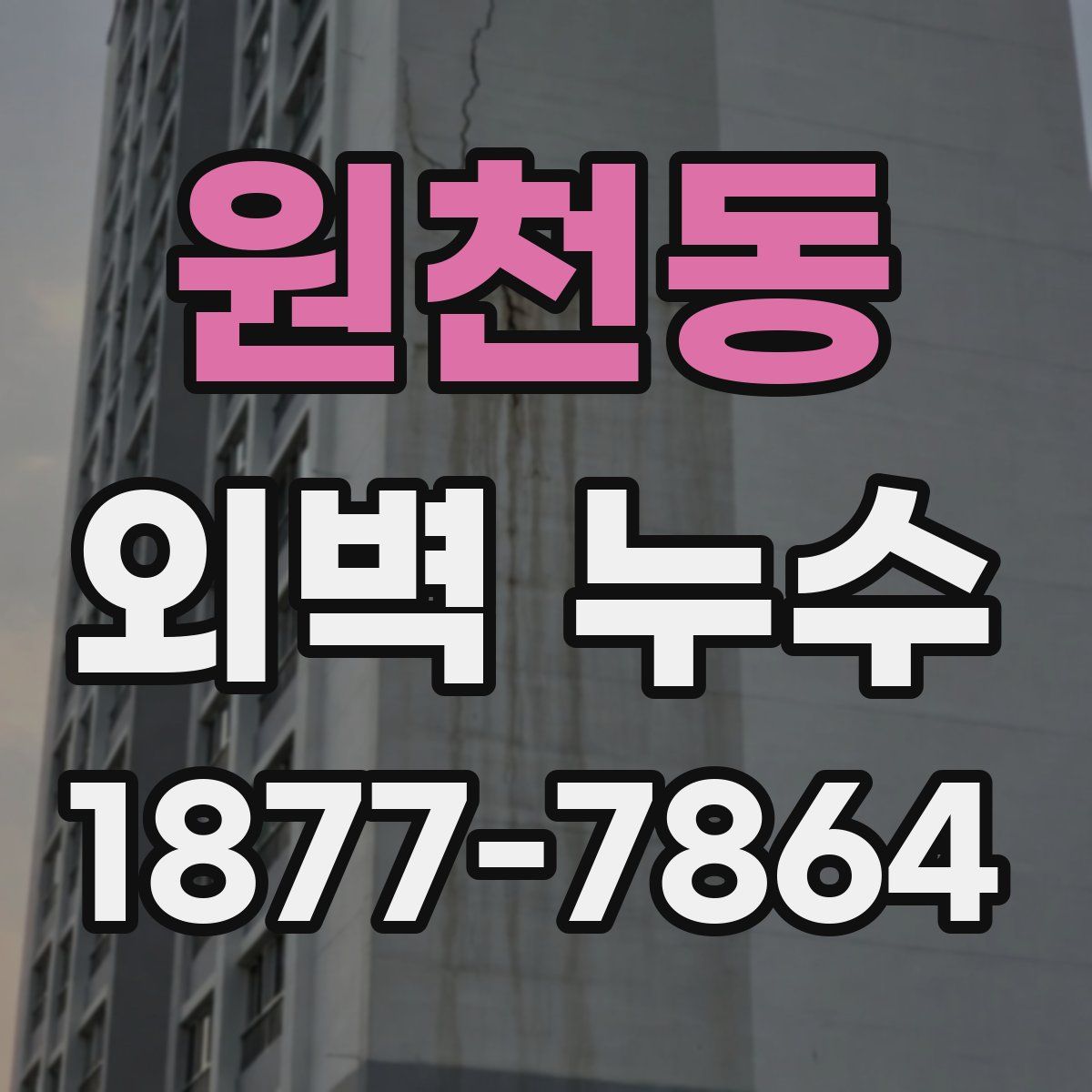 원천동 외벽 누수