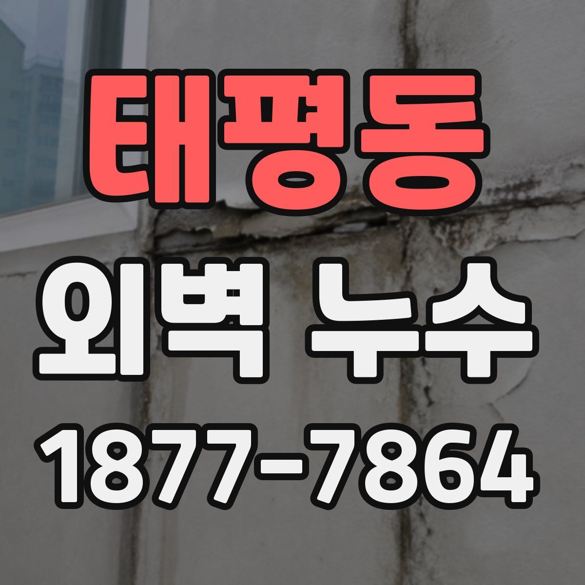 태평동 외벽 누수