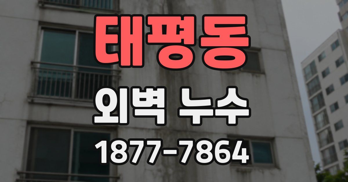태평동 외벽 누수