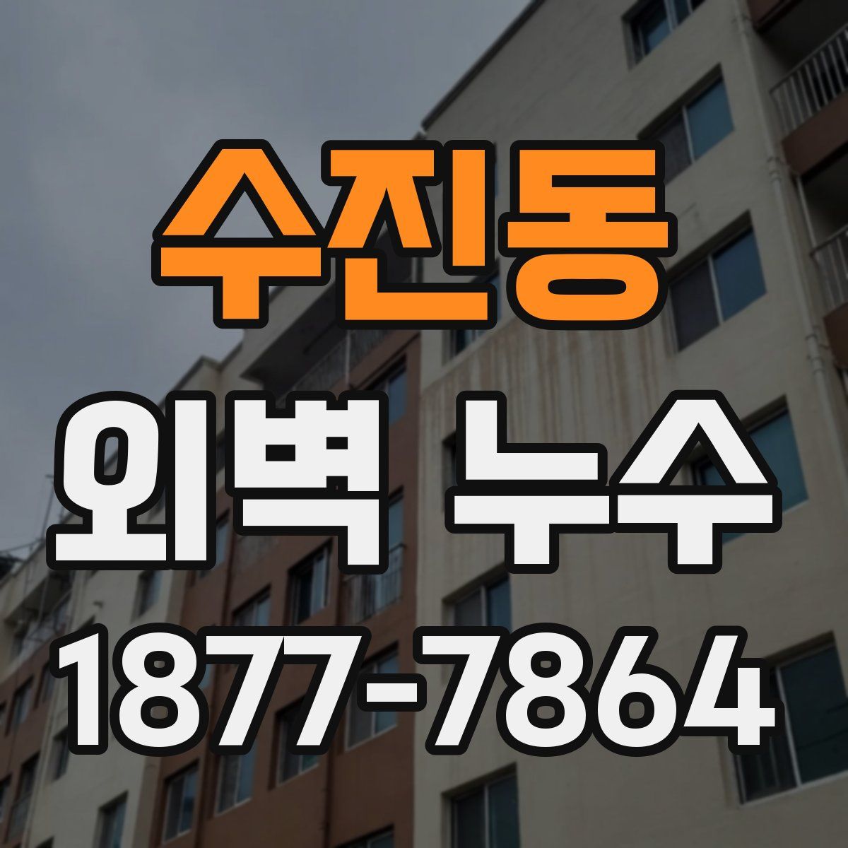 수진동 외벽 누수
