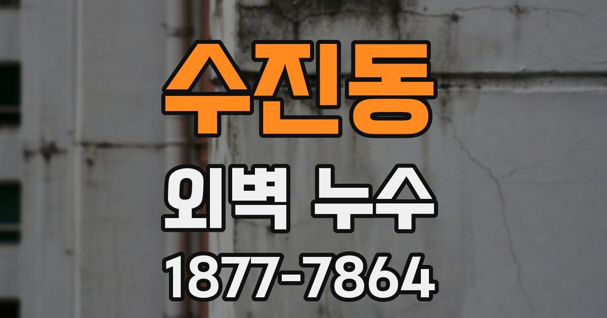 수진동 외벽 누수