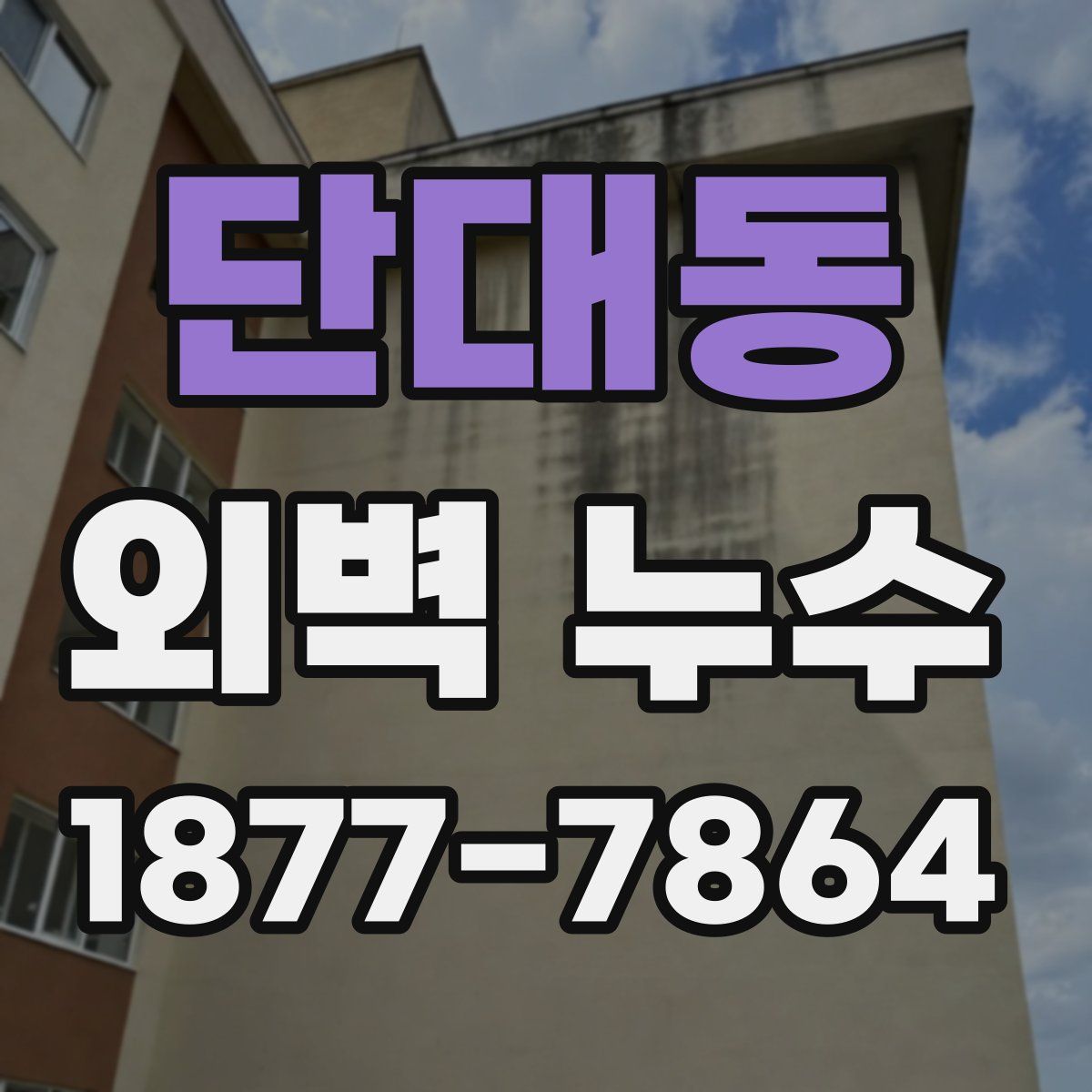 단대동 외벽 누수