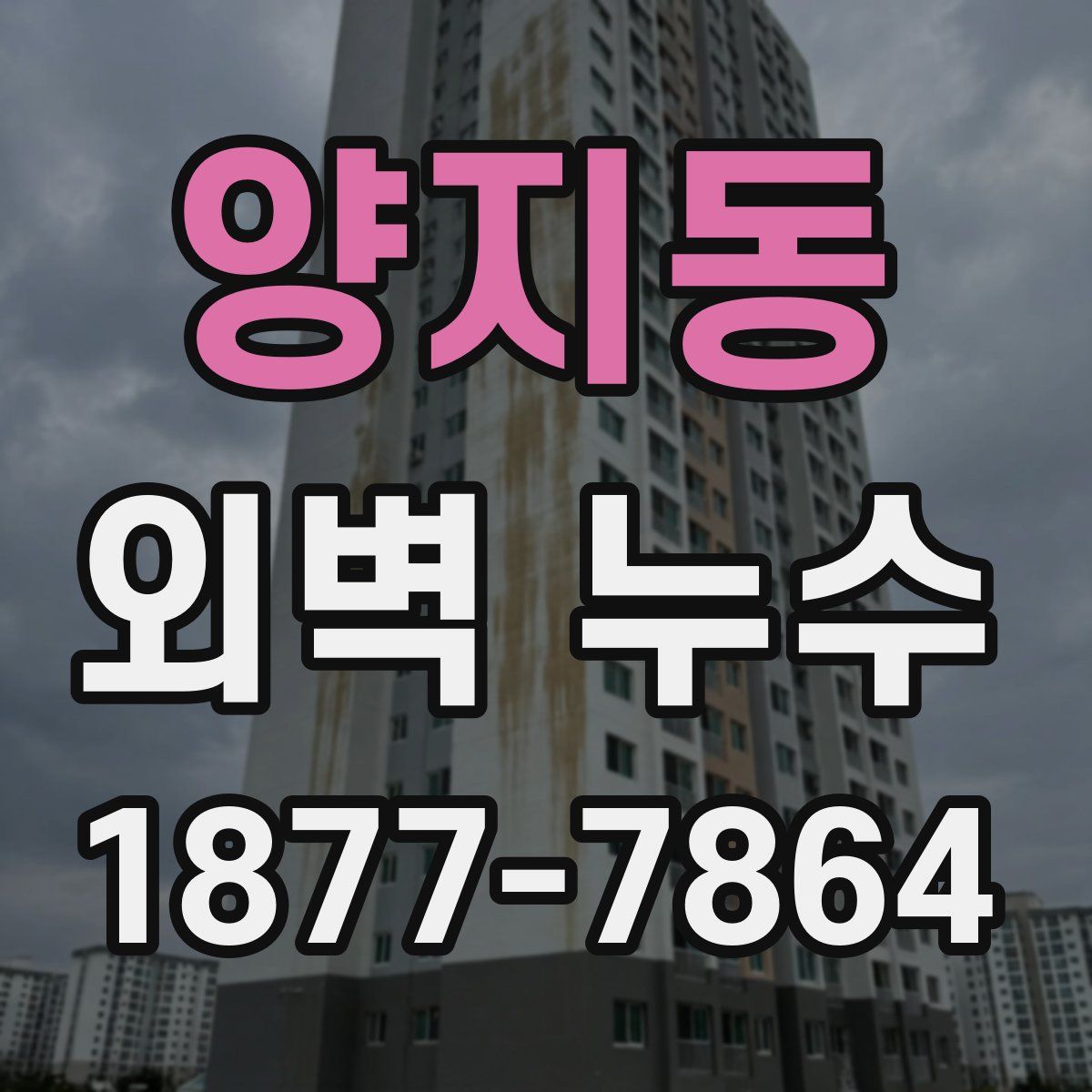 양지동 외벽 누수
