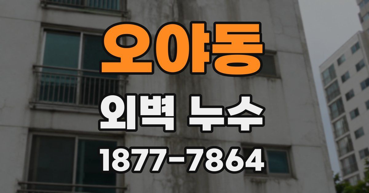 오야동 외벽 누수