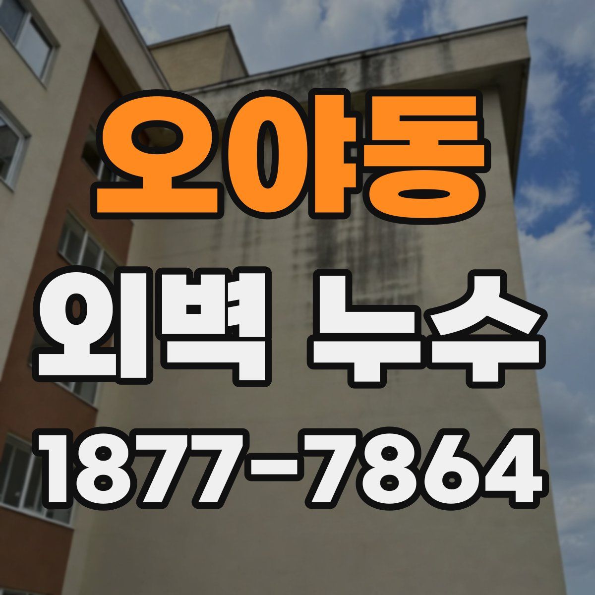 오야동 외벽 누수
