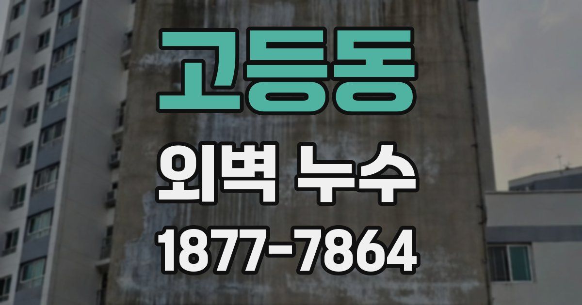 고등동 외벽 누수