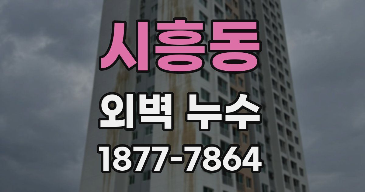 시흥동 외벽 누수
