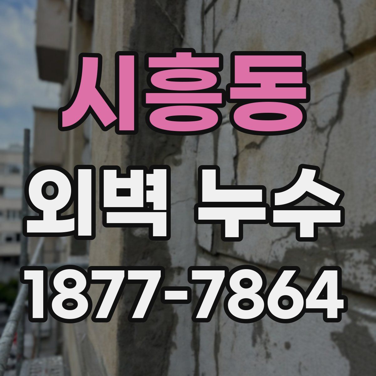 시흥동 외벽 누수