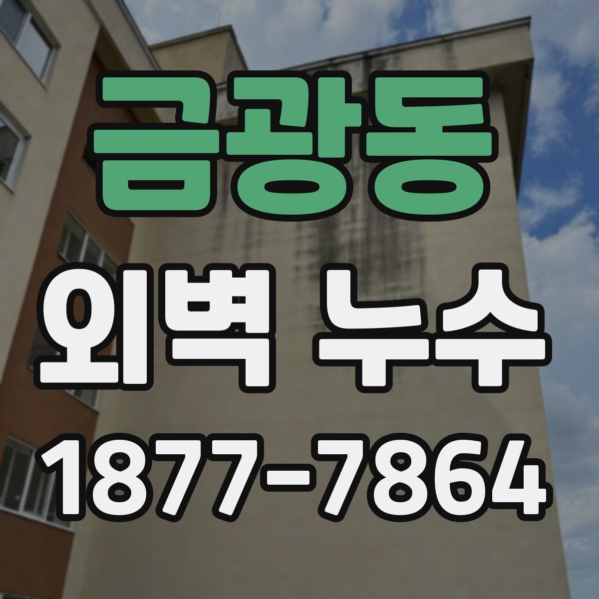 금광동 외벽 누수