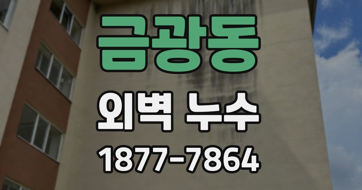 금광동 외벽 누수