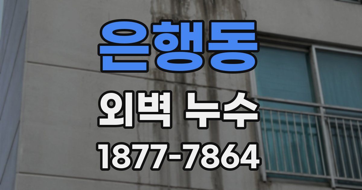은행동 외벽 누수