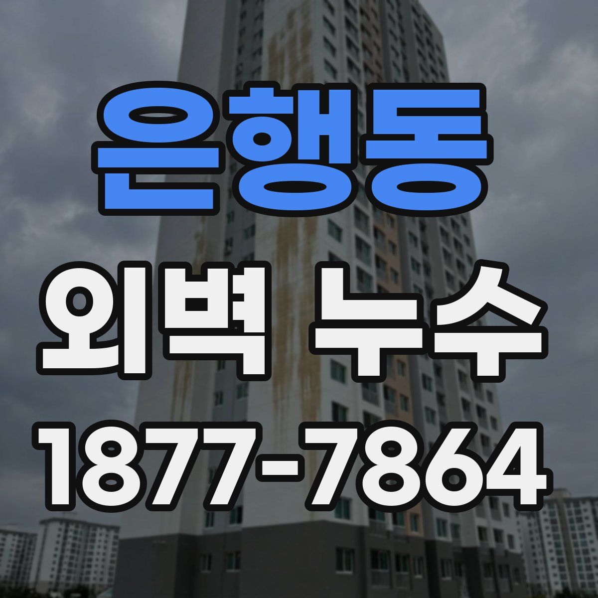 은행동 외벽 누수