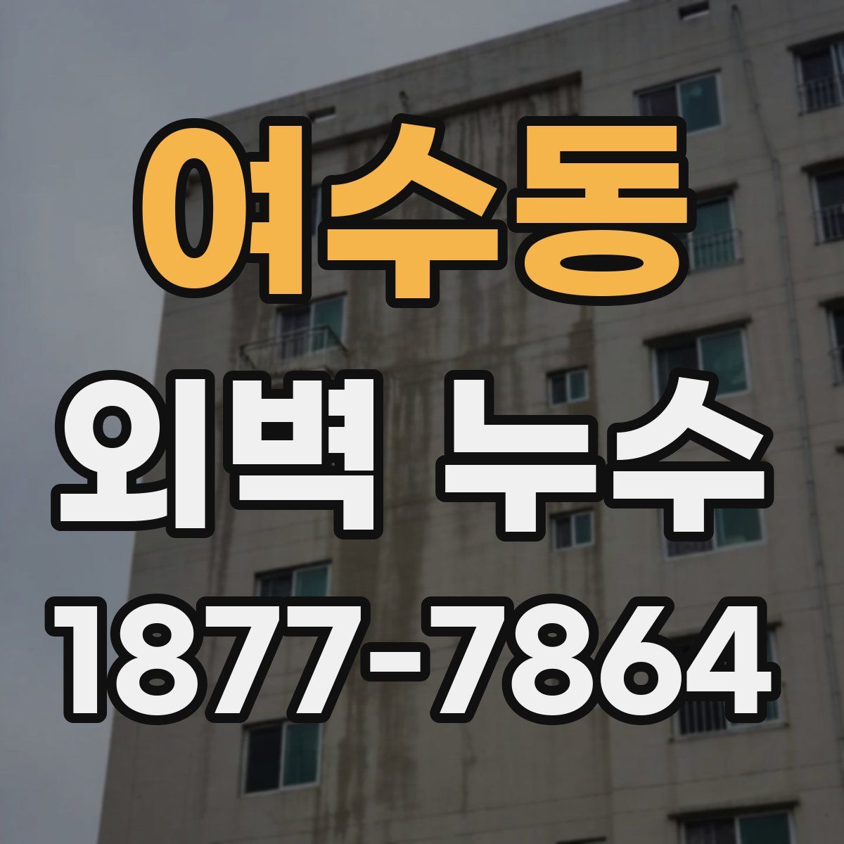 여수동 외벽 누수
