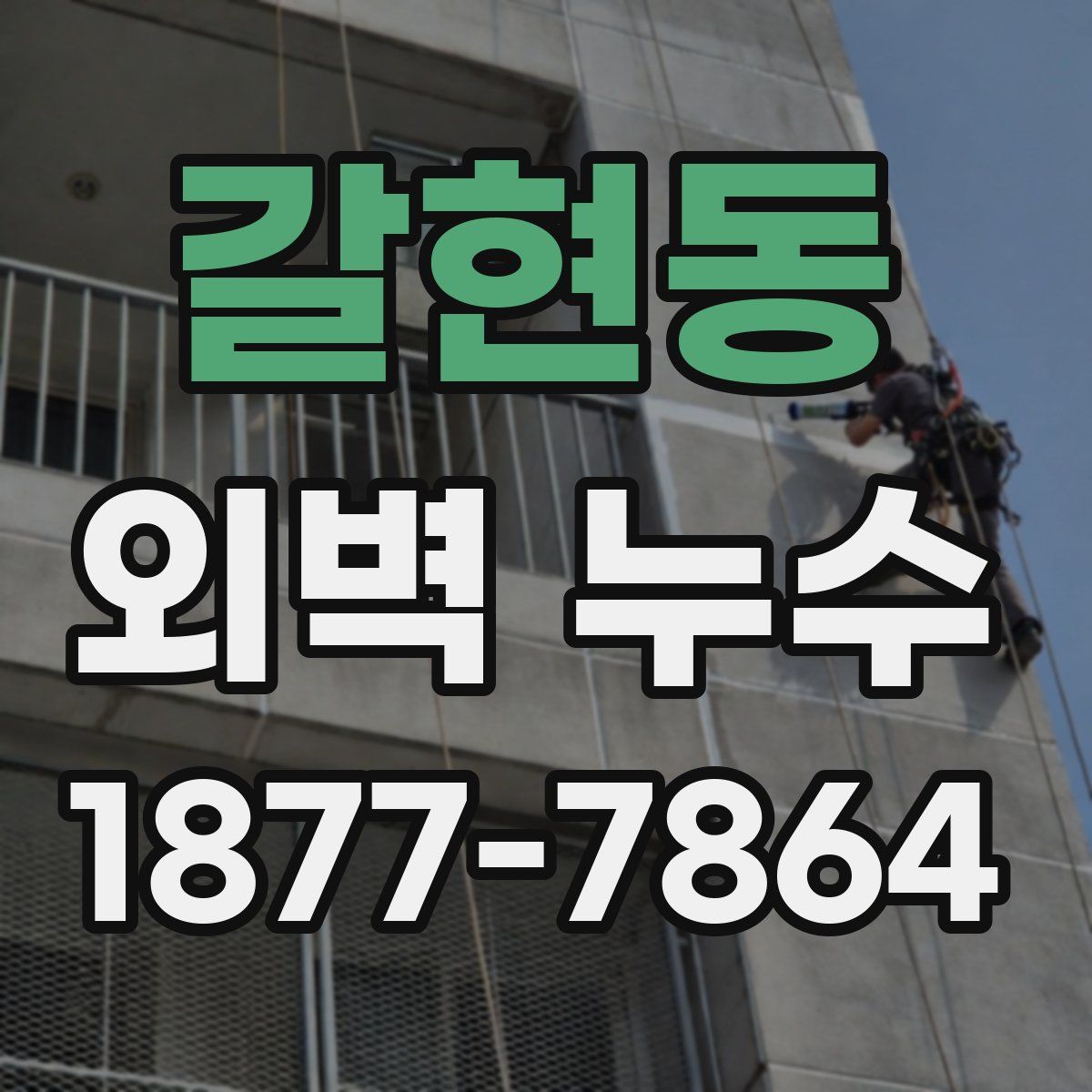 갈현동 외벽 누수