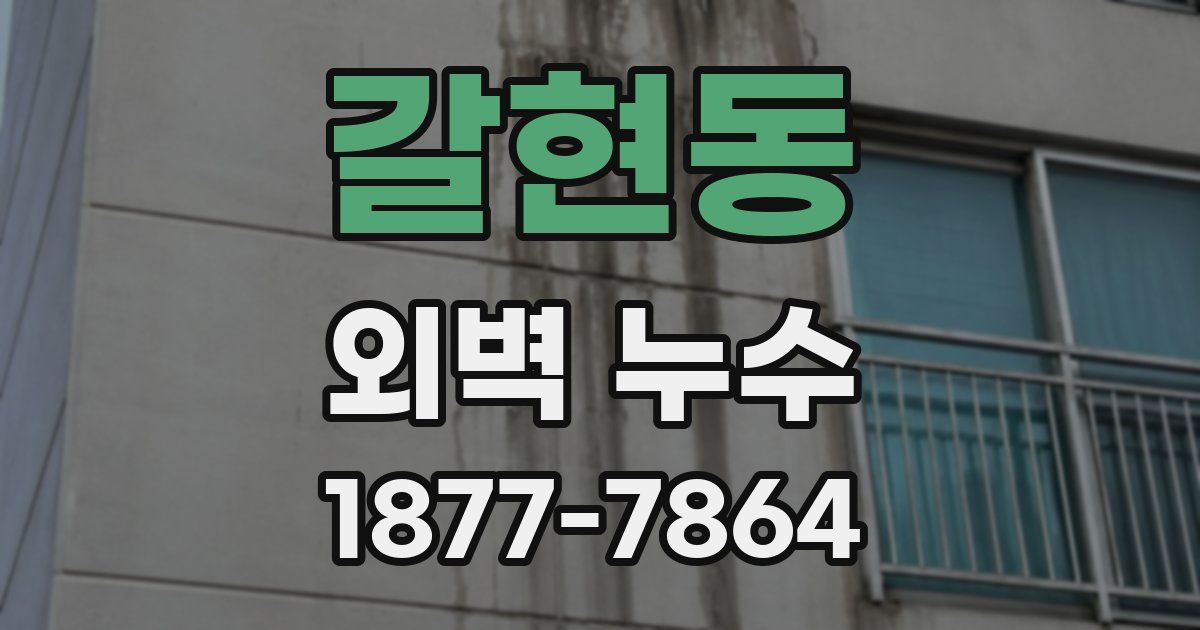 갈현동 외벽 누수