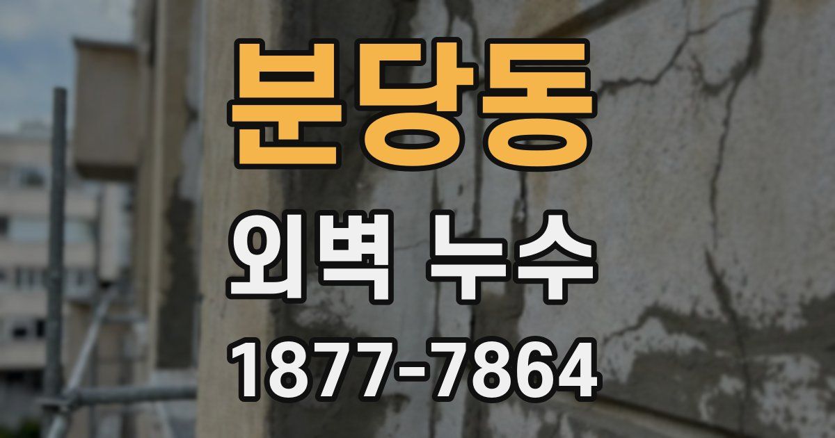 분당동 외벽 누수