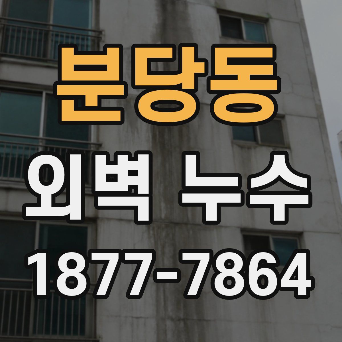 분당동 외벽 누수