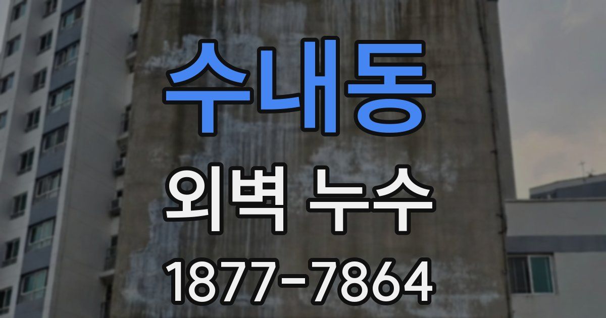 수내동 외벽 누수