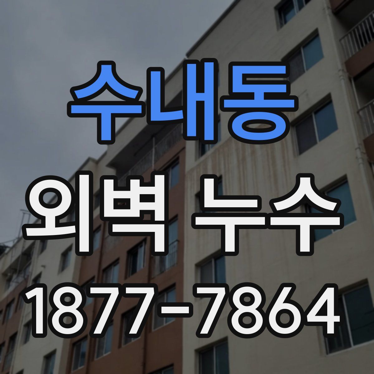 수내동 외벽 누수