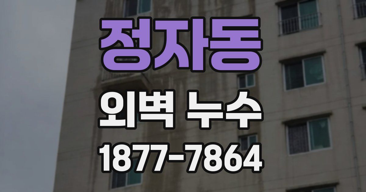 정자동 외벽 누수