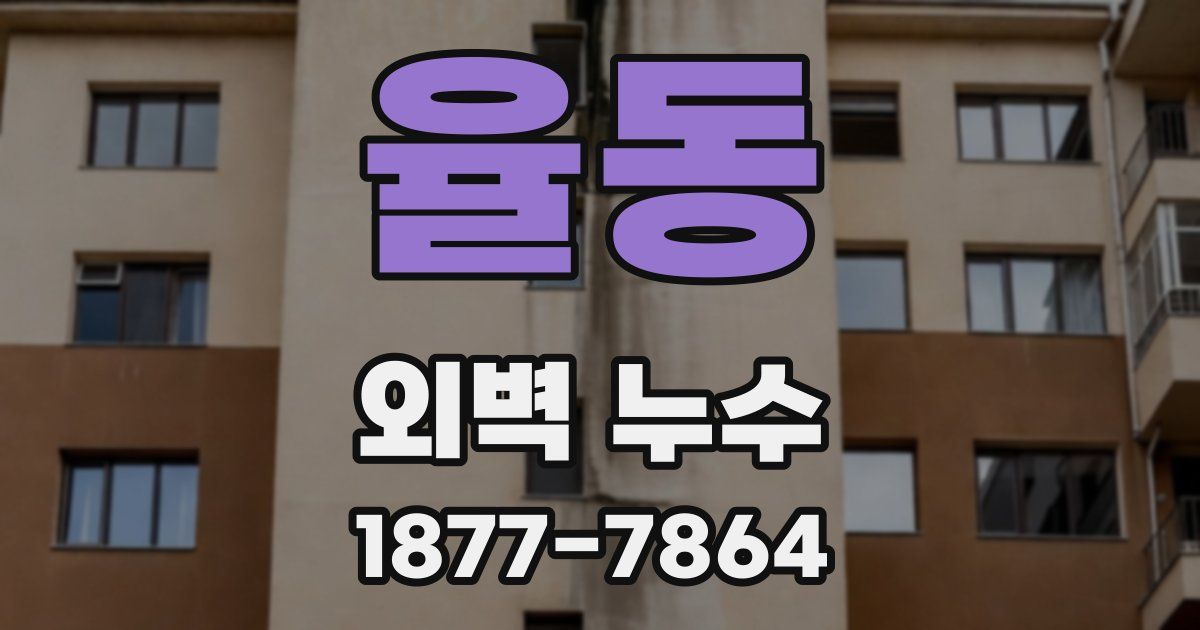 율동 외벽 누수