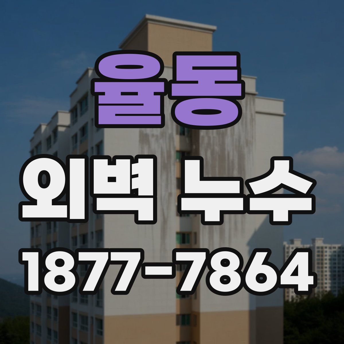 율동 외벽 누수