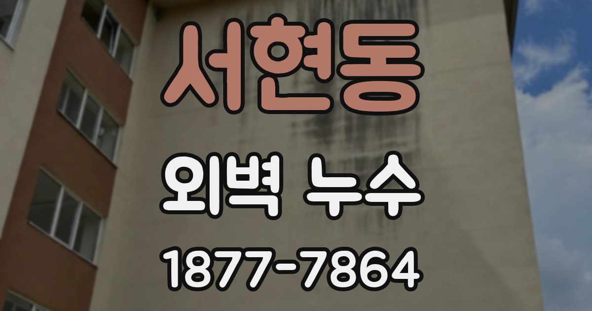 서현동 외벽 누수