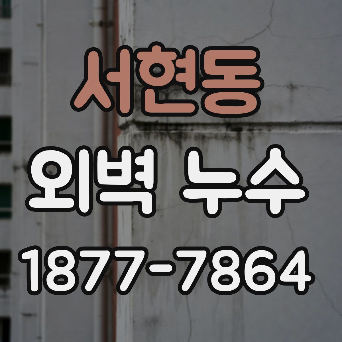서현동 외벽 누수
