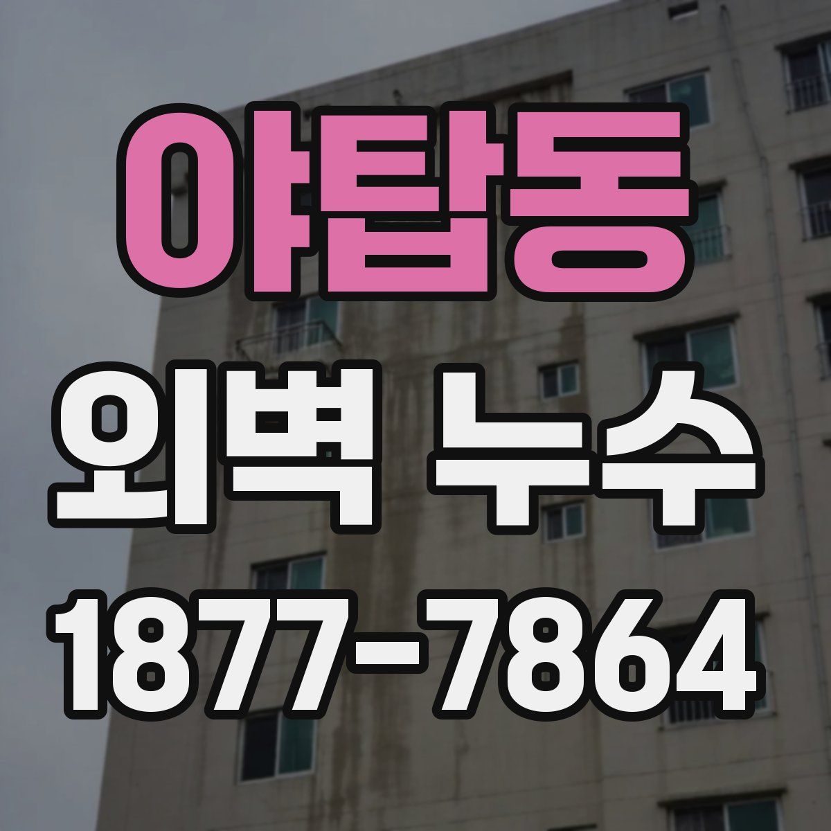 야탑동 외벽 누수