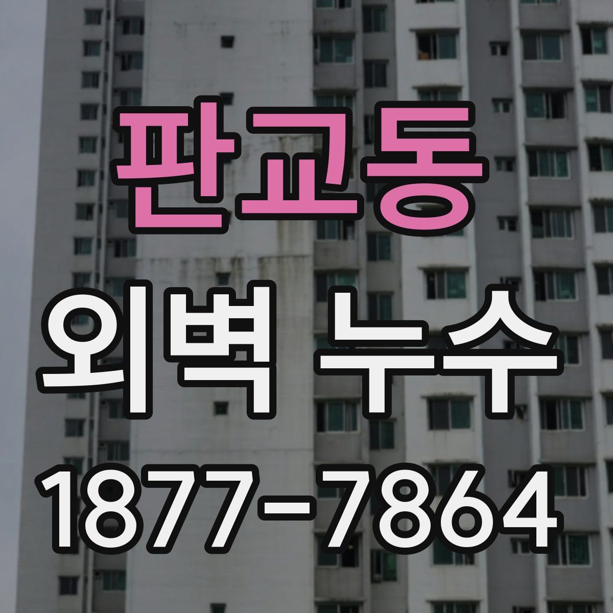 판교동 외벽 누수