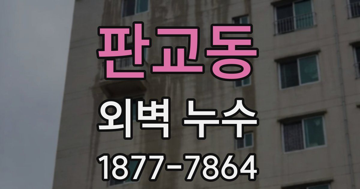 판교동 외벽 누수