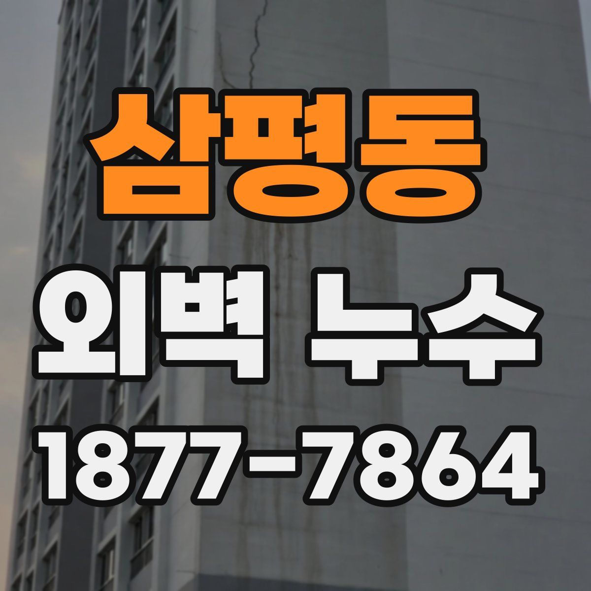 삼평동 외벽 누수