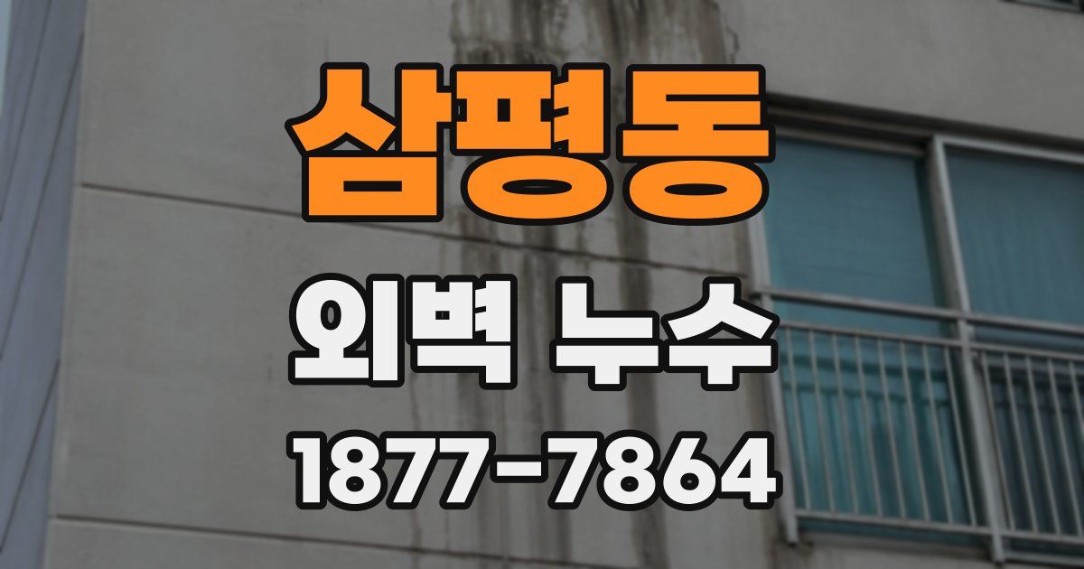 삼평동 외벽 누수