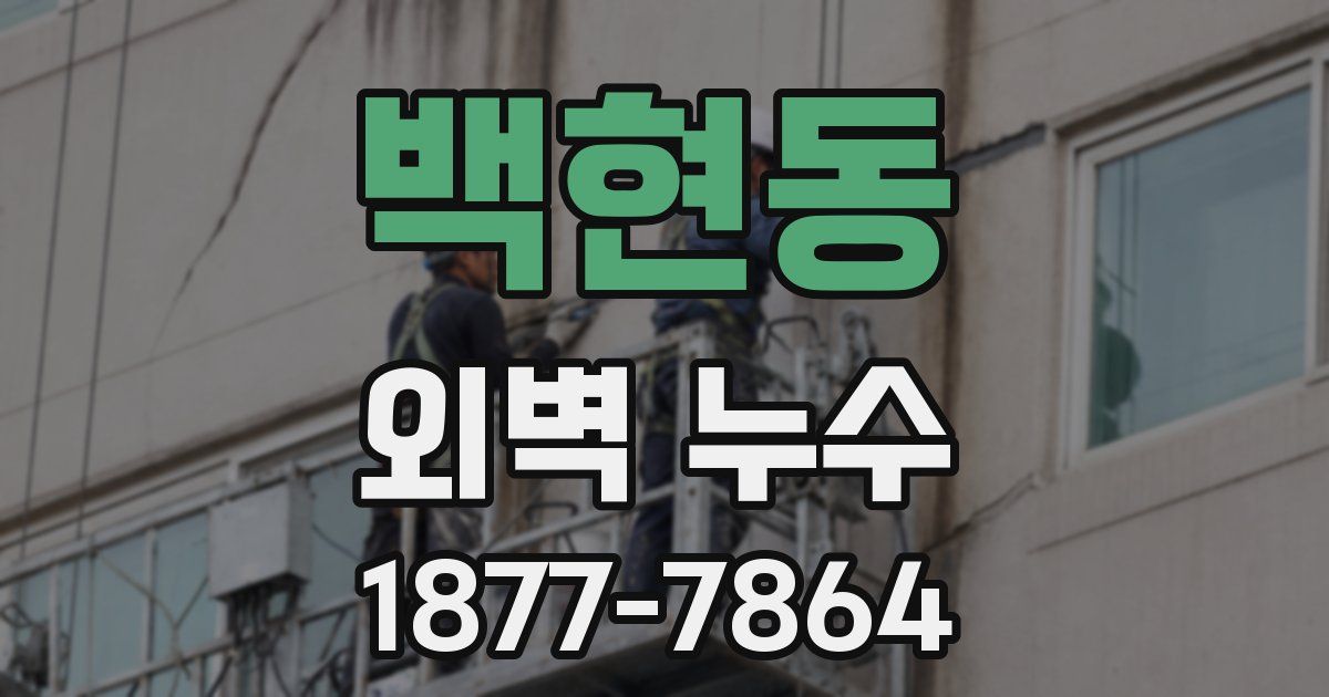 백현동 외벽 누수