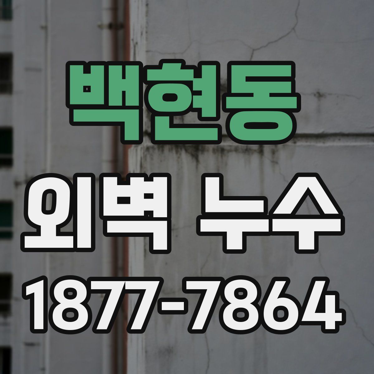 백현동 외벽 누수