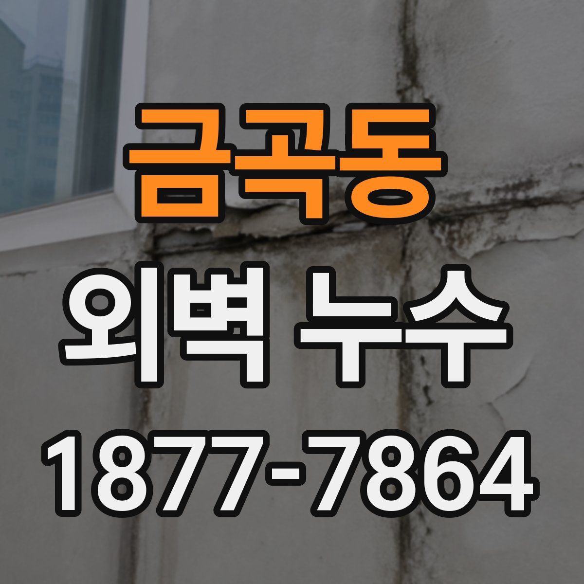 금곡동 외벽 누수