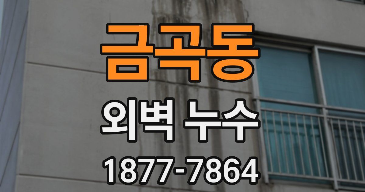금곡동 외벽 누수