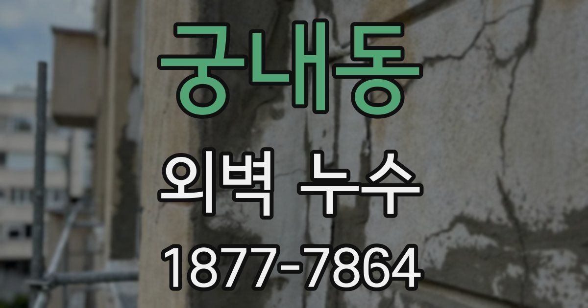 궁내동 외벽 누수