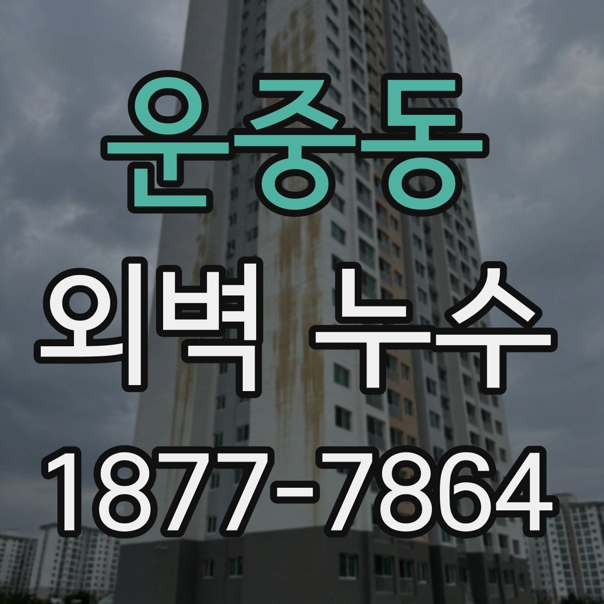 운중동 외벽 누수 재발 원인을 줄이는 점검 항목