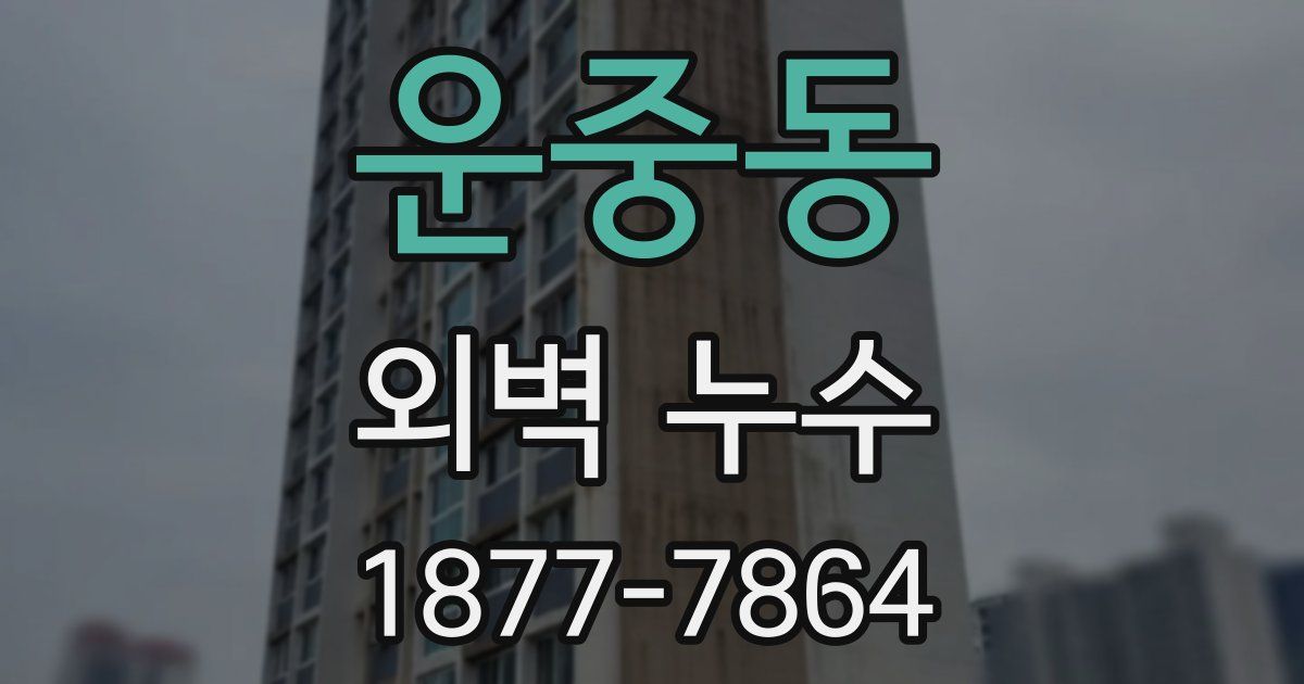 운중동 외벽 누수