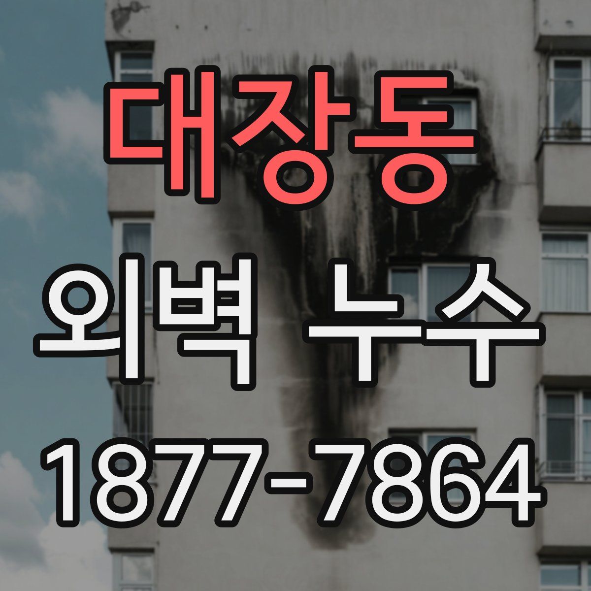 대장동 외벽 누수