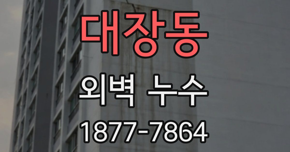 대장동 외벽 누수