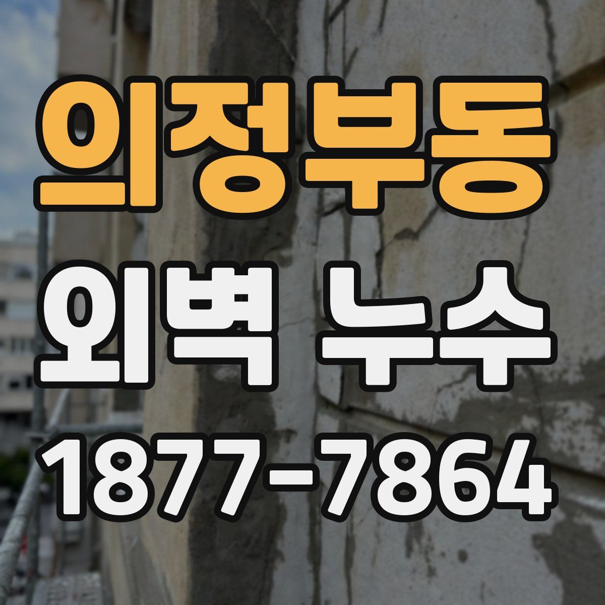 의정부동 외벽 누수
