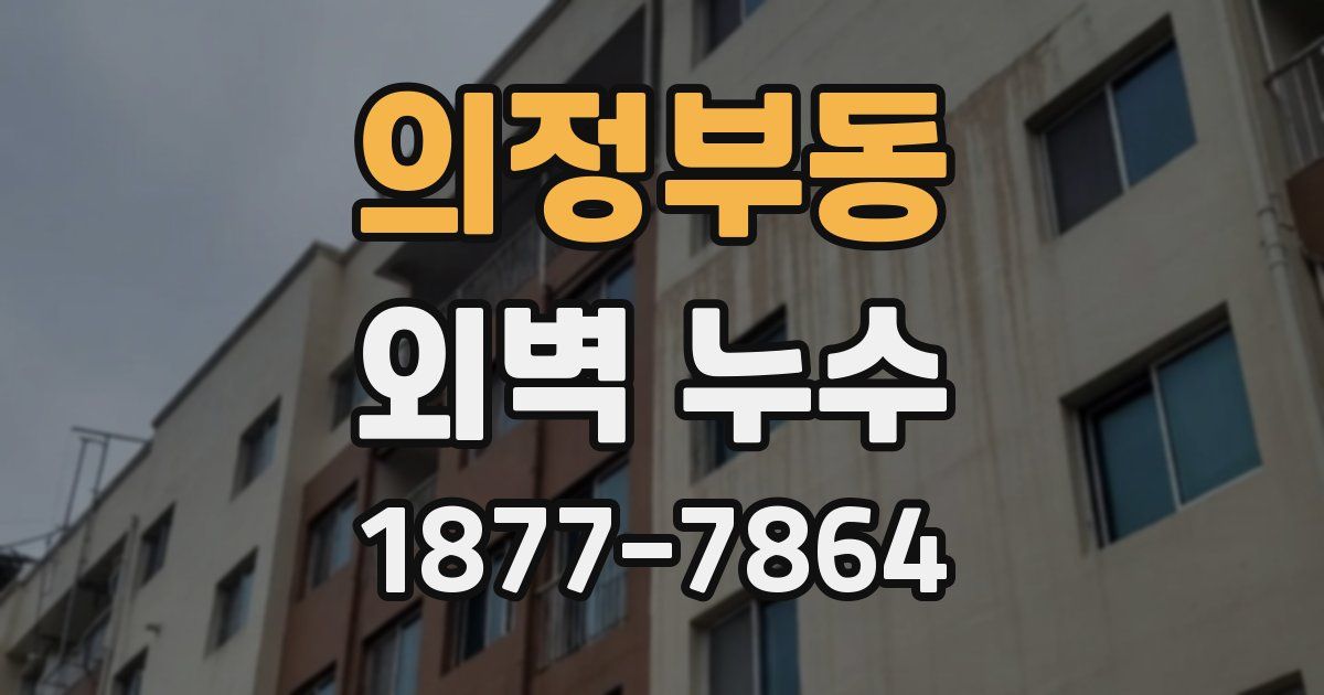 의정부동 외벽 누수