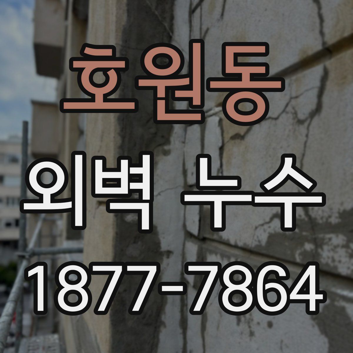호원동 외벽 누수