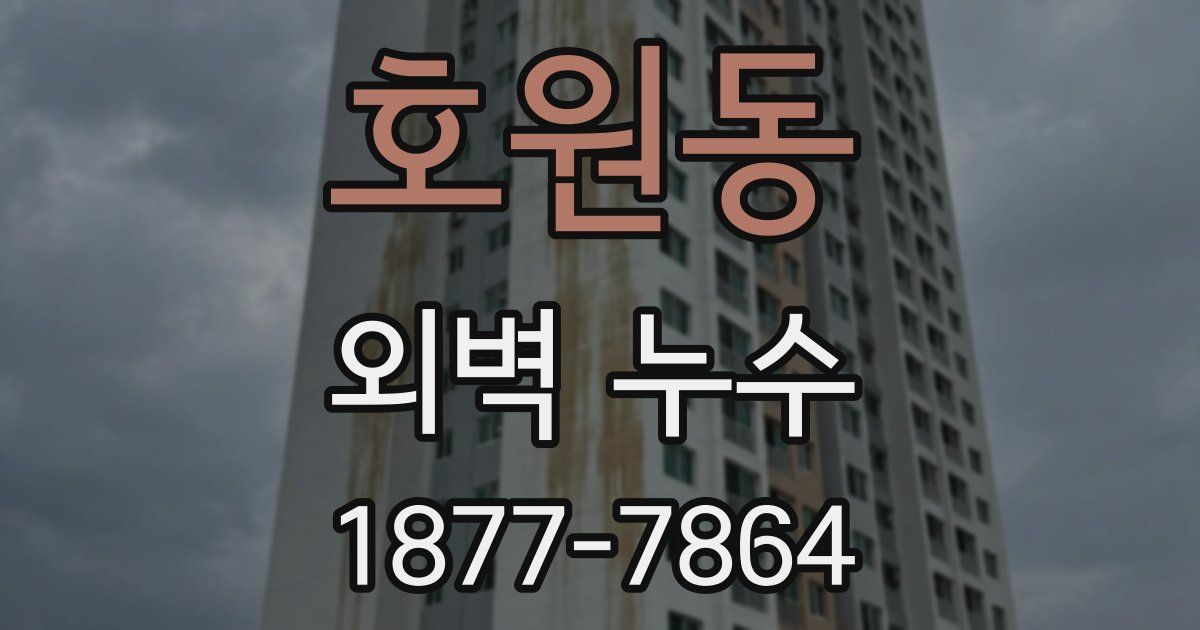 호원동 외벽 누수