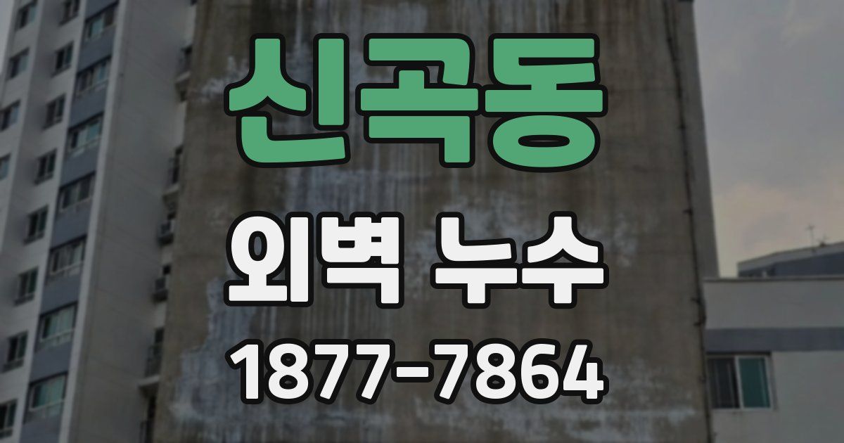 신곡동 외벽 누수