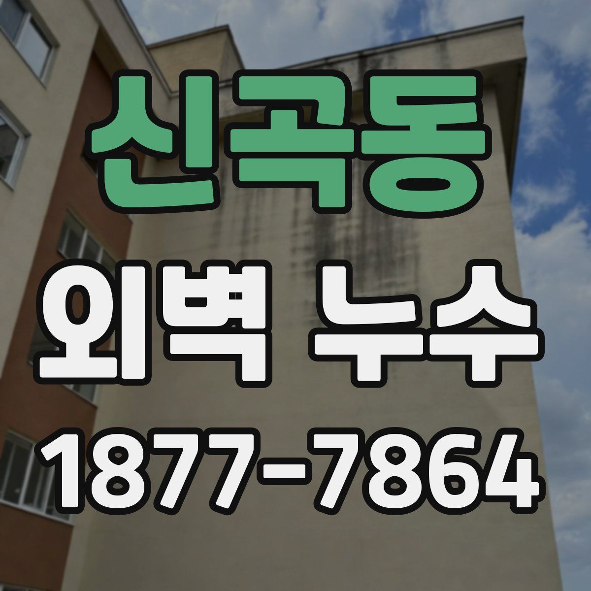 신곡동 외벽 누수